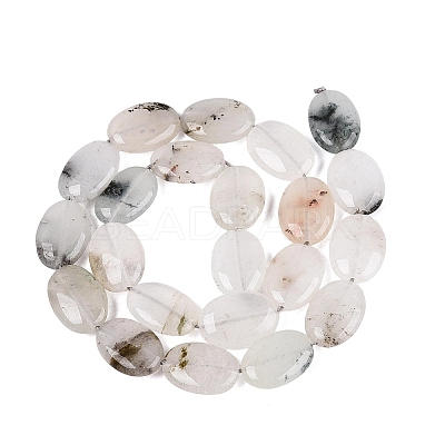 Dyed Natural White Jade Beads Strands G-N370-01A-18-1