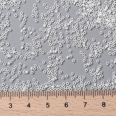 MIYUKI Round Rocailles Beads SEED-G009-RR0402-1
