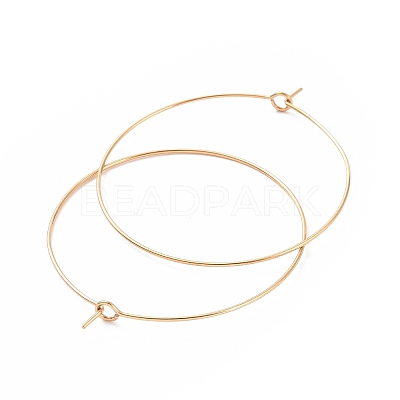 Ion Plating(IP) 316L Surgical Stainless Steel Hoop Earring Findings STAS-D164-06G-A-1