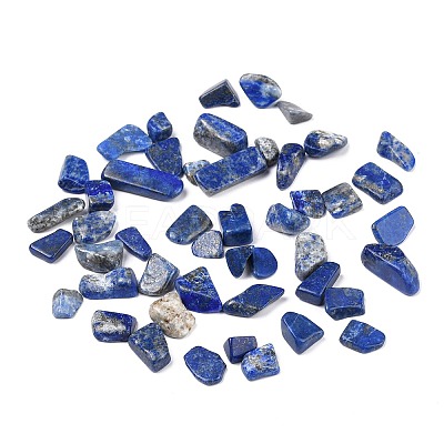 Natural Lapis Lazuli Beads X-G-I304-02-1
