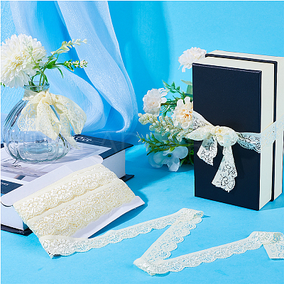 10 Yards Polyester Elastic Lace Trim OCOR-WH0086-04B-1