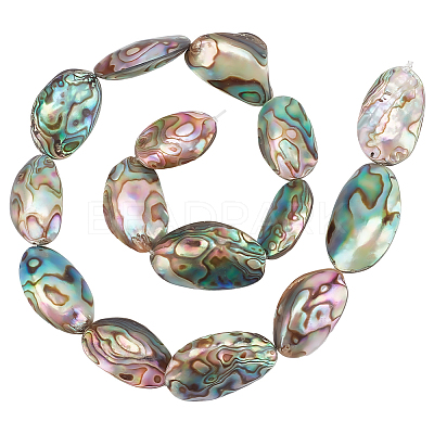 1 Strand Natural Abalone Shell/Paua Shell Beads Strands BSHE-BC0001-16-1
