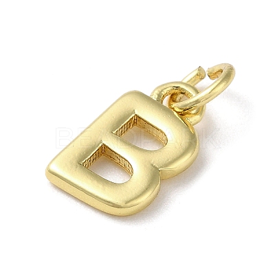 Rack Plating Brass Charms KK-P245-06G-B-1