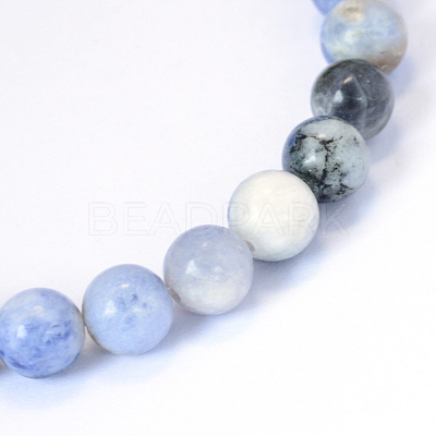 Natural Sodalite Round Bead Strands X-G-E334-4mm-08-1