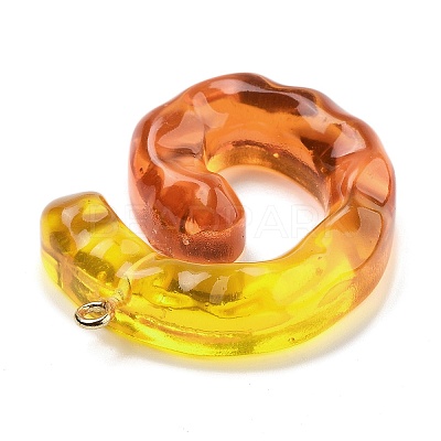 Resin Pendant FIND-Q107-01G-01-1