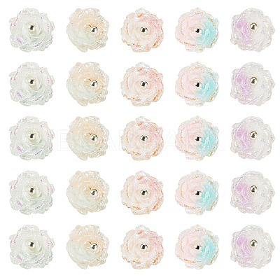 30Pcs 5 Colors Two-tone Resin Charms RESI-TA0005-71-1