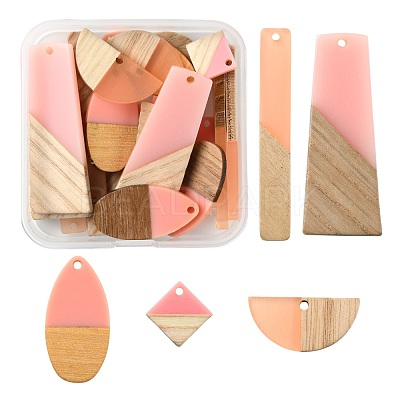 20Pcs 5 Style Resin & Wood Semi Circle Pendants RESI-LS0001-45-1