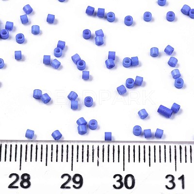 FGB 11/0 Grade A Glass Seed Beads SEED-S030-1010-1