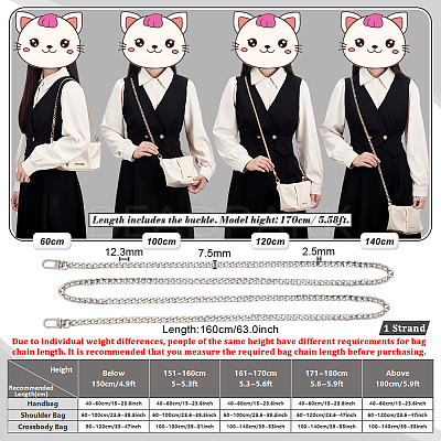 Bag Strap Chains IFIN-PH0024-03S-7x160-1