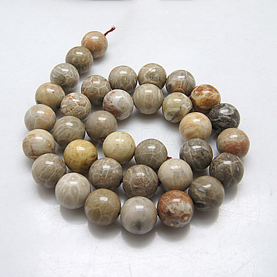 Natural Fossil Coral Beads Strands G-G212-6mm-31-1