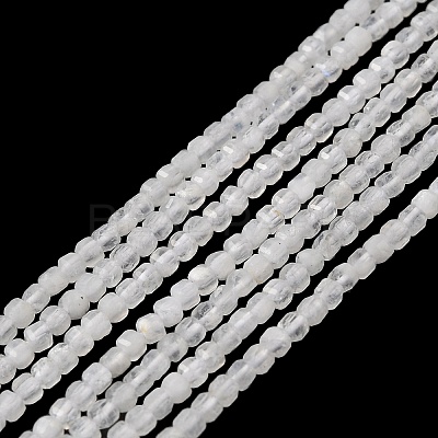 Natural Rainbow Moonstone Beads Strands LS-G-I353-04-1
