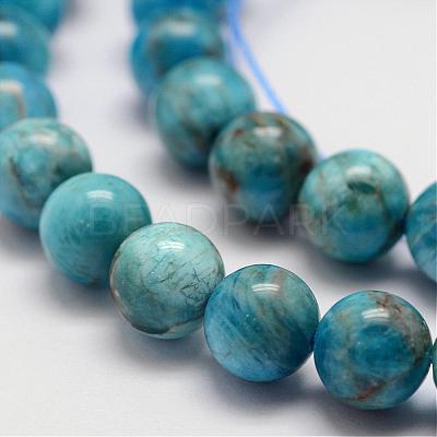 Natural Apatite Beads Strands G-D856-01-8mm-1