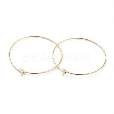 316 Surgical Stainless Steel Hoop Earring Findings X-STAS-J025-01E-G-1