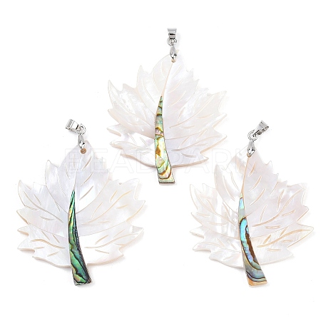 Natural Paua Shell & White Shell Pendants KK-C135-03P-1