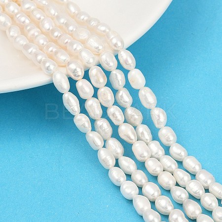 Natural Cultured Freshwater Pearl Beads Strands PEAR-P064-20H-03A-1