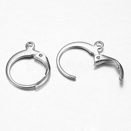 Tarnish Resistant 316 Surgical Stainless Steel Leverback Earring Findings LS-STAS-G073-74P-1