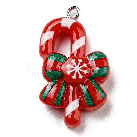 Opaque Resin Pendants CRES-D010-01H-01-1
