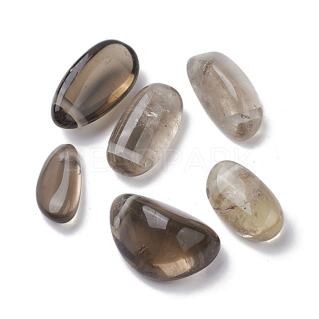 Natural Smoky Quartz Beads G-C110-09-1