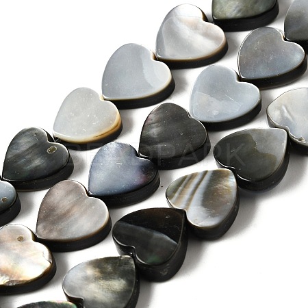 Natural Black Lip Shell Beads Strands BSHE-D300-06A-1