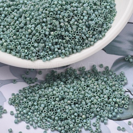 MIYUKI Delica Beads SEED-X0054-DB2313-1