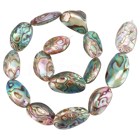 1 Strand Natural Abalone Shell/Paua Shell Beads Strands BSHE-BC0001-16-1