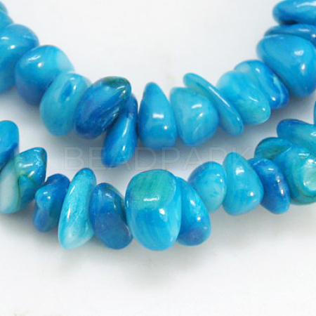 Natural Shell Beads Strands BSHE-D002-04-1