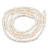 Natural Cultured Freshwater Pearl Beads Strands X-PEAR-N013-02B-2