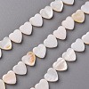 Natural Freshwater Shell Beads Strands SHEL-R144-25-1