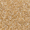 MIYUKI Delica Beads SEED-X0054-DB0099-3