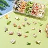 125G 5 Colors Natural Shell Bead Strands BSHE-FS0001-06B-6