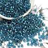 TOHO 6/0 Round Beads X-SEED-TR06-0274-1