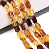 Natural Amber Beads Strands G-N371-23A-01-1