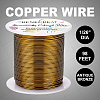 Round Copper Wire CWIR-BC0006-02C-AB-5