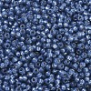 MIYUKI Round Rocailles Beads SEED-G007-RR0648-3