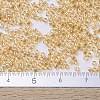 MIYUKI Delica Beads SEED-X0054-DB0099-4