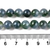Dyed Natural White Jade Beads Strands G-T138-8mm-2104-5