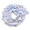 Nautral Blue Lace Agate Beads Strands G-H330-A01-3