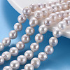 Natural Keshi Pearl Beads Strands PEAR-S020-F06-1