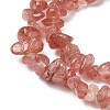 Natural Strawberry Quartz Chip Bead Strands G-M205-56A-4