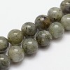 Natural Labradorite Bead Strands G-O155-05B-4mm-1