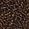 6/0 Glass Seed Beads X2-SEED-A005-4mm-53-2