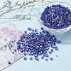 6/0 Glass Seed Beads SEED-YW0001-25E-5