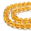 Natural Citrine Beads Strands G-E326-10mm-01-3