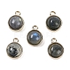 Natural Labradorite Pendants G-K372-03G-08-1