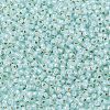TOHO 11/0 Round Beads X-SEED-TR11-PF2116-2