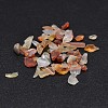 Natural Carnelian Chip Beads X-G-O103-18-1