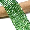 Glass Beads Strands LS-EGLA-S056-2mm-06-3
