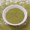 MIYUKI Delica Beads SEED-X0054-DB1154-2