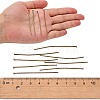Iron Flat Head Pins LS-HPAB5.0cm-NF-3