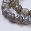 Natural Labradorite Beads Strands X-G-G212-10mm-23-3